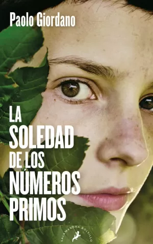 SOLEDAD DE LOS NUMEROS PRIMOS, LA